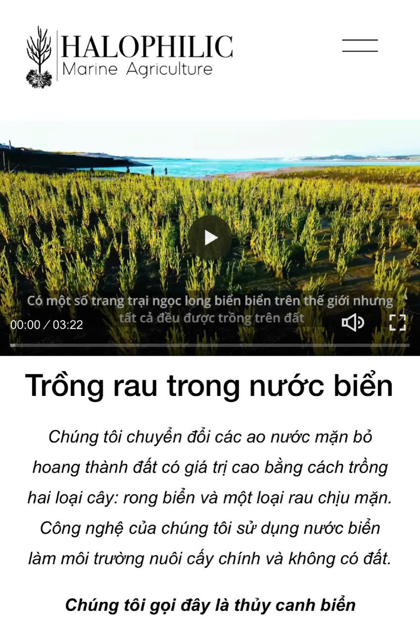 Halophilic cần tuyển quản lý kinh doanh tiếng Anh giao tiếp