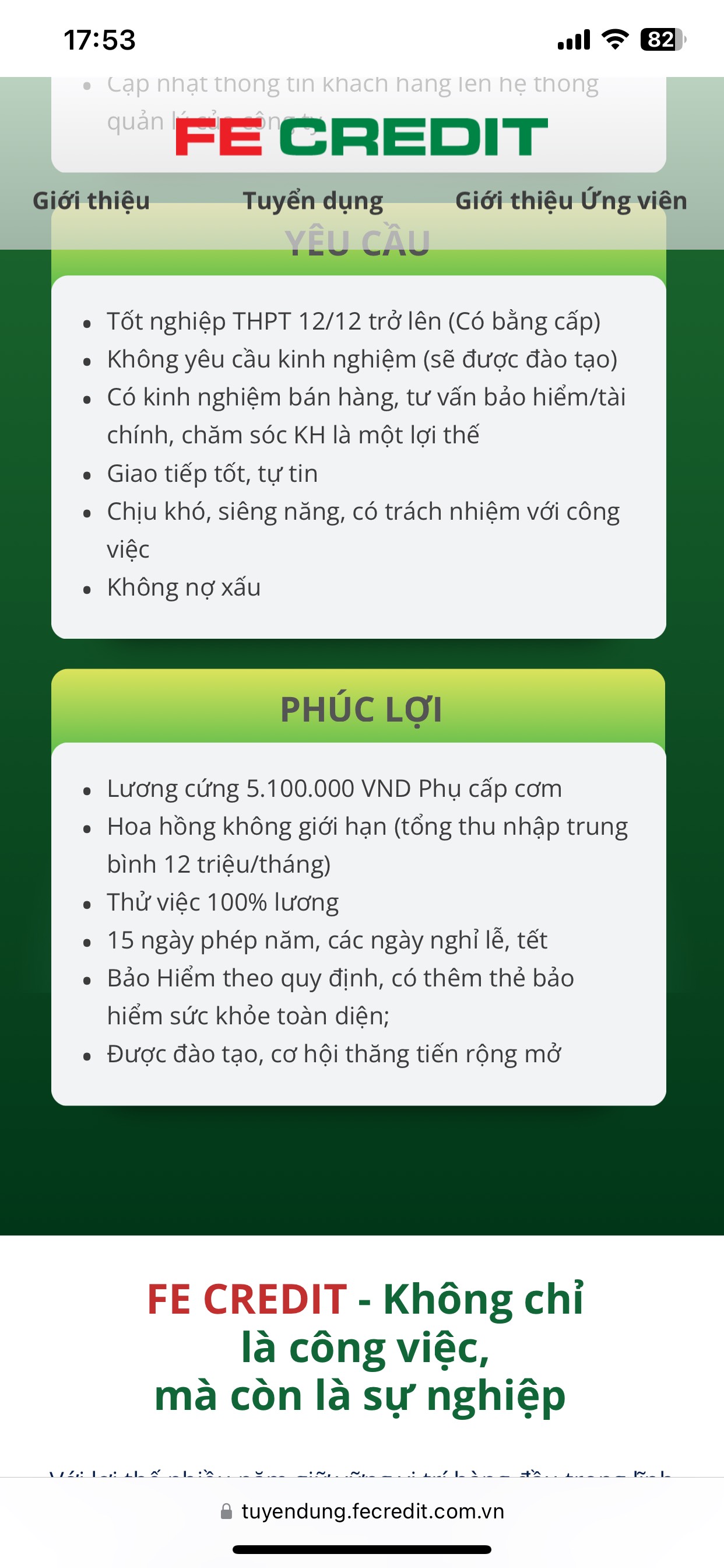 FE Credit tuyển NV tư vấn CSKH, giao tiếp tốt - thu nhập cực cao
