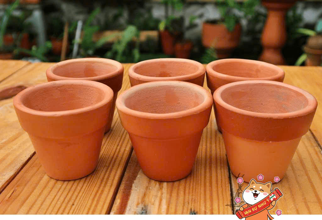 Tuyển 10 Nam NV đóng gói chậu gốm tại Bình Dương