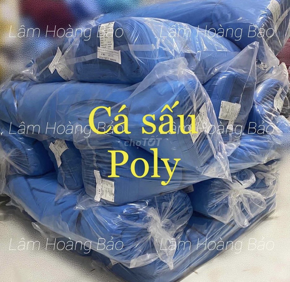 Vải Thun Lâm Hoàng Bảo tuyển 2 bạn nữ làm tại Tân Bình