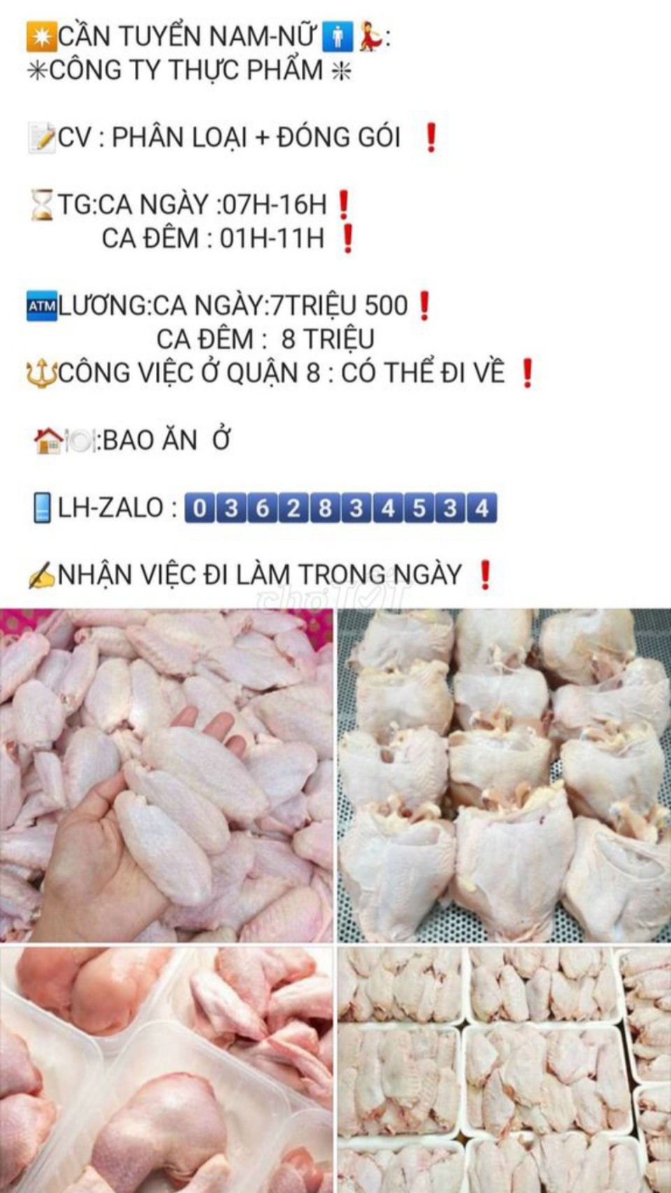 Tuyển lao động phổ thông bao ăn ở nhiều ngành nghề phù hợp