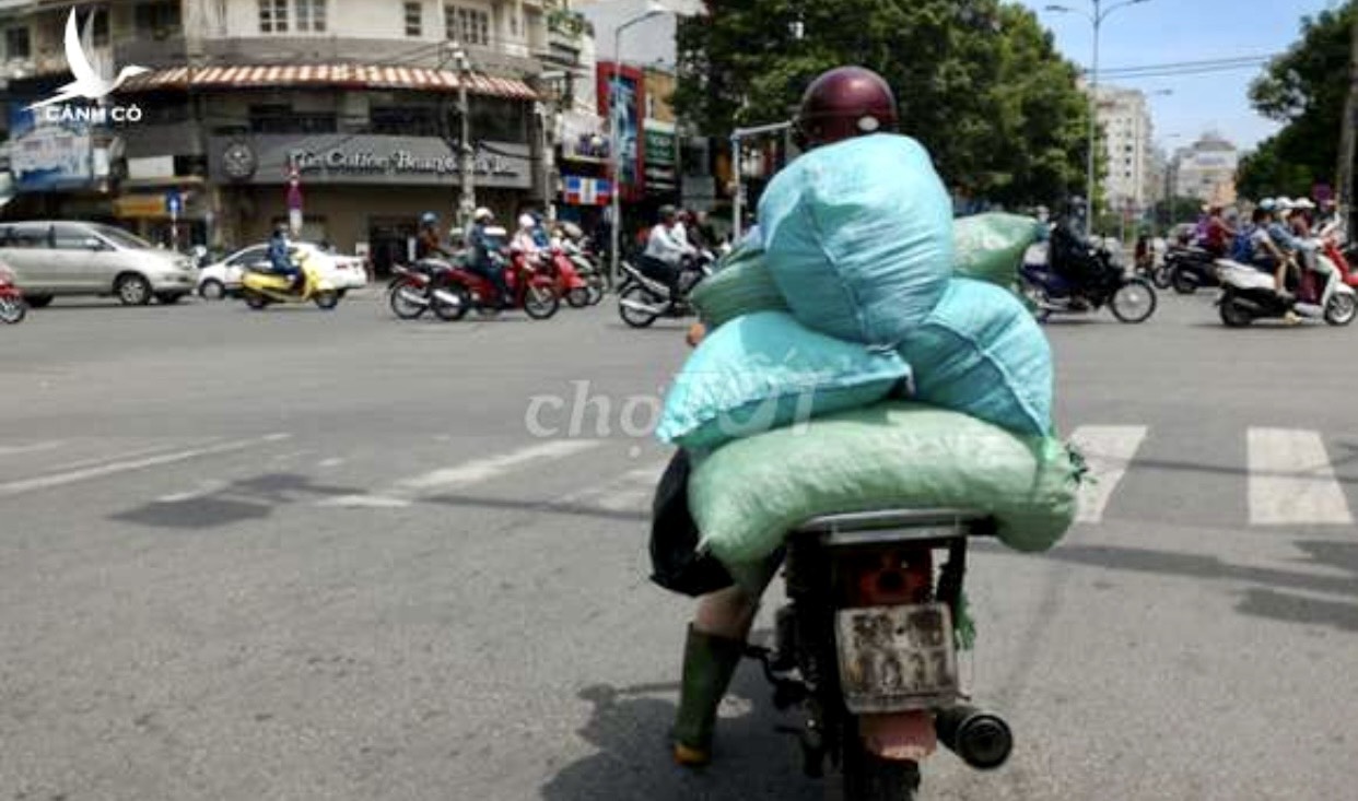 Cần Nam Giao Đá Tinh Khiết Và Bia Có Kinh Nghiệm làm Q4