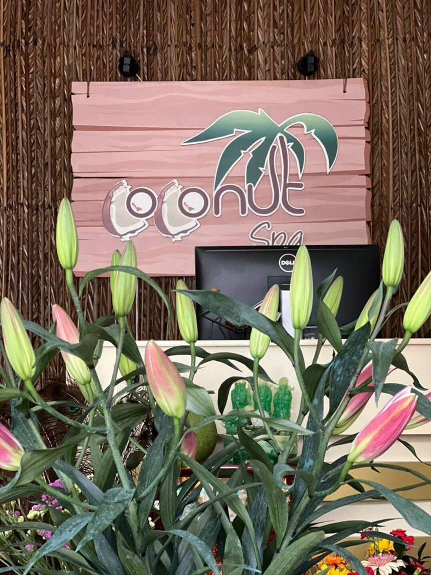 Coconut Spa cần tuyển thêm KTV MASSAGE SPA làm Phú Nhuận
