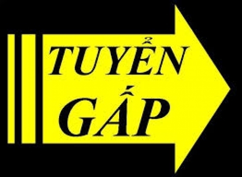 Tuyển gấp đầu bếp, phụ bếp, phục vụ, chở hàng 