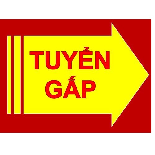 Tuyển 5 NV Nam lắp đặt gương kính trang trí nội thất tại HCM